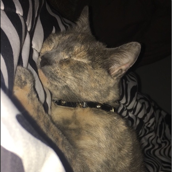 Meet your Posher, Hollywood - Picture 3 of 3